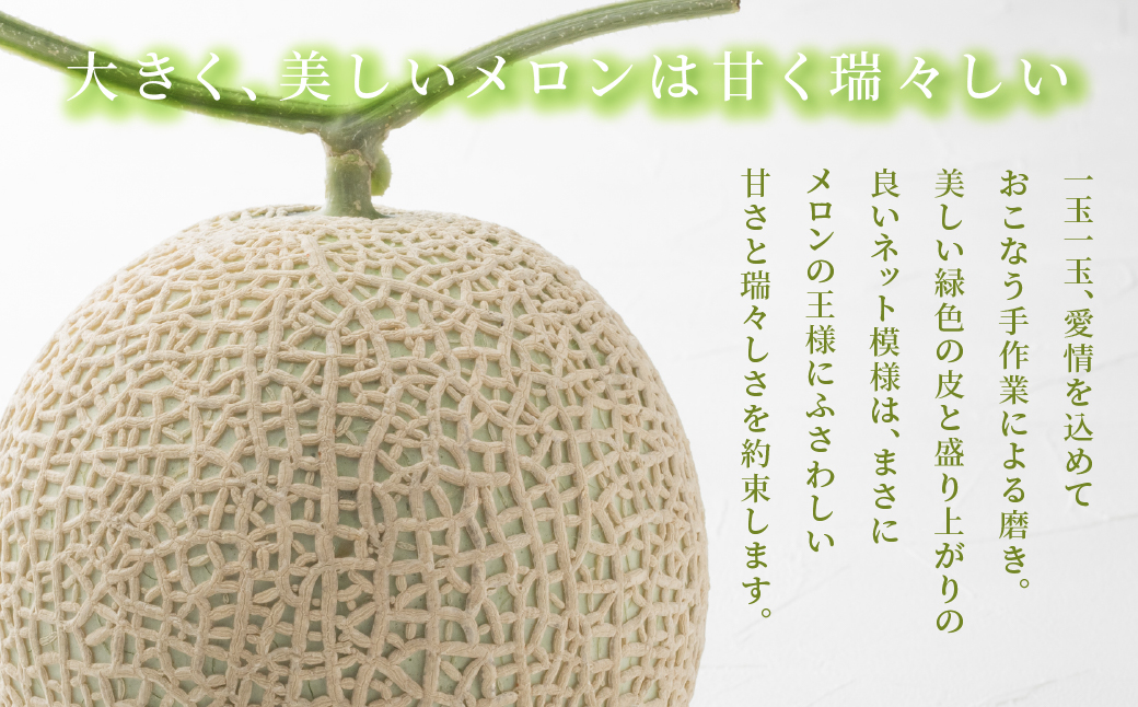  特別限定栽培 八右衛門アールスメロン 大玉1.8kg 2玉 （マスクメロン） 先行予約 メロン めろん 箱詰め フルーツ 果物 愛知県 田原市 6月 7月