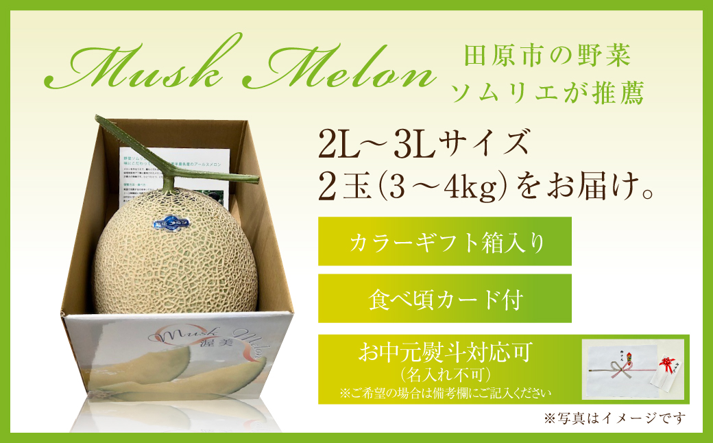 先行予約 数量限定 野菜ソムリエ 推薦 渥美半島伊良湖潮風育ち マスクメロン 2玉 2L〜3L サイズ(3〜4キロ) 箱入り　 田原市 伊良湖産 ギフト プレゼント お取り寄せ 渥美半島 農家直送 送料無料 12000円 一万円