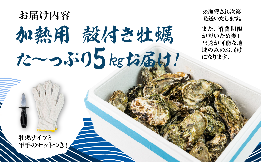 【先行予約】殻付き 生牡蠣 5kg 加熱用 軍手・牡蠣ナイフ付 牡蠣 カキ かき 生 殻付牡蠣 フライ 鍋 バーベキュー BBQ 海鮮 魚介 魚貝 貝 魚介類 新鮮 渥美半島 田原市 愛知県 国産 海産物 オイスター 海の ミルク 軍手 牡蠣 ナイフ 付 冬 〜 春