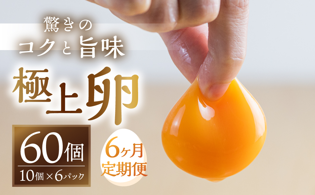 ã6åãå±ãå®æäŸ¿ãã³ã¯æš 極äžåµ 60 å å²ãä¿èšŒä»ã å®æäŸ¿ ïŒ ããŸã åµ æ¯æ 6å 6ãµæ 6ã¶æ 6ãæ å幎 ã©ã³ãã³ã° ïŒ