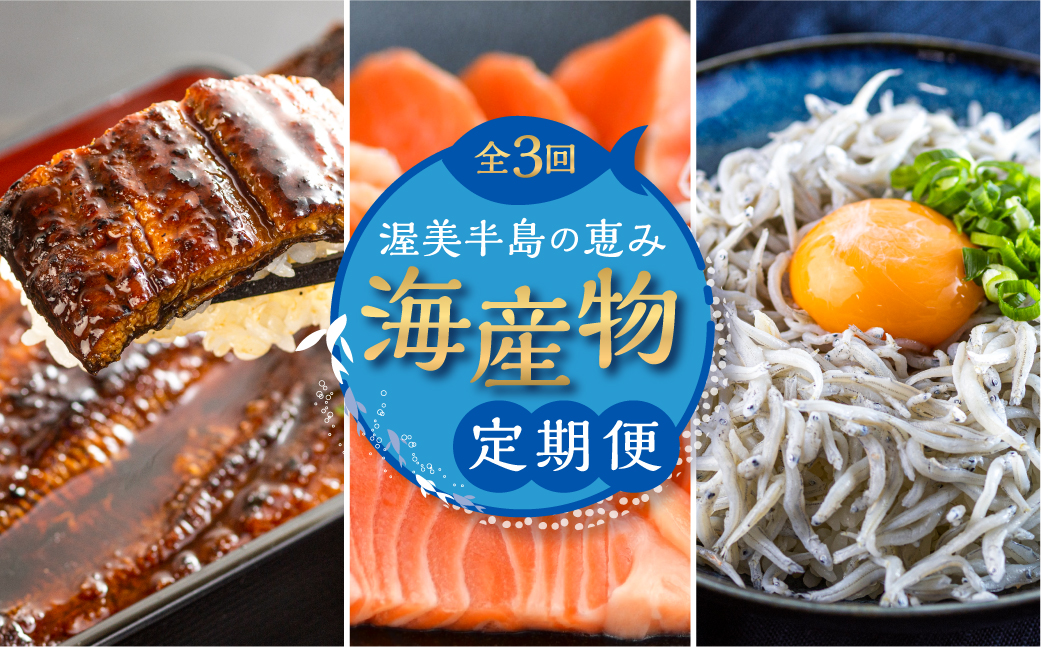 渥美半島の恵み 海産物 定期便 3回 海鮮  ( うなぎ / しらす / サーモン ) 鰻 刺身 丼 人気 ご当地 鰻 蒲焼 蒲焼き  頒布会
