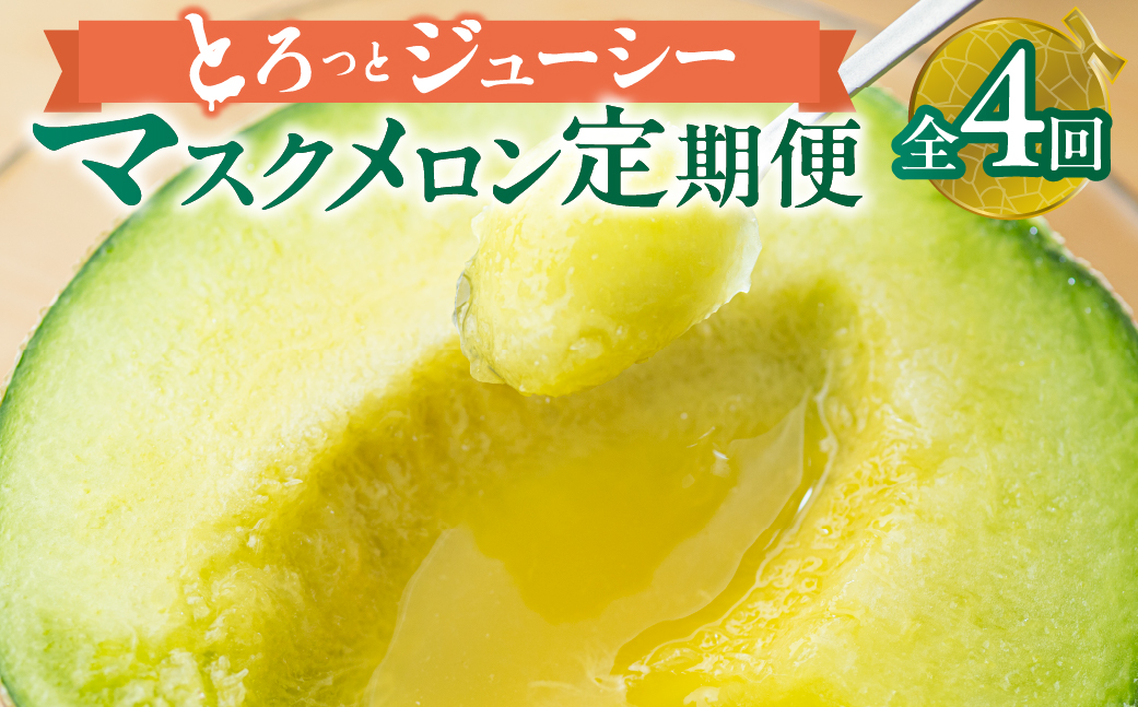 【定期便】先行予約 マスクメロン 4回お届け  伊良湖産 2玉 2025年6月スタート  マルカ農園