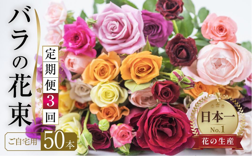 【定期便】3回お届け バラ 花束 50本 チャーミングローズ 花 ( 訳あり 規格外 ご自宅用 ) 薔薇 生花 愛知県 田原市