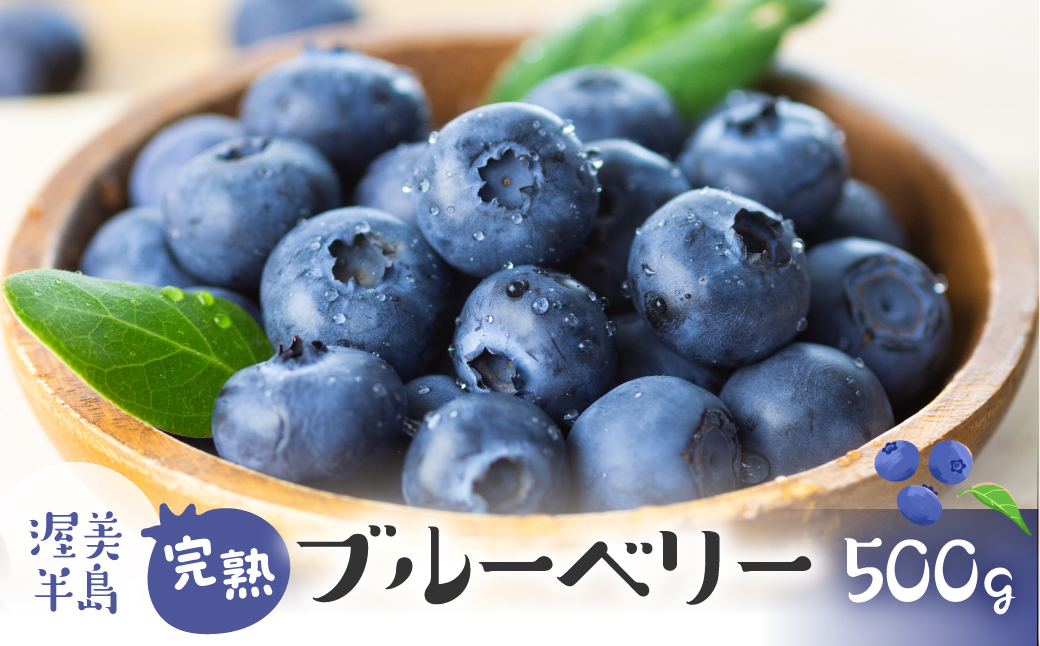 4月~6月中お届け　完熟ブルーベリー 500g