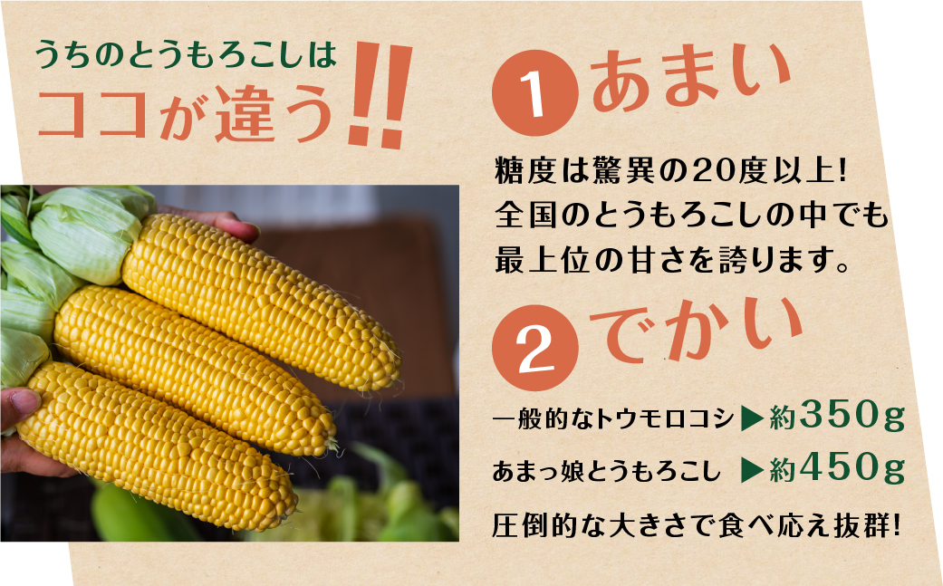 あまっ娘とうもろこし （10本〜12本　4.0kg以上）