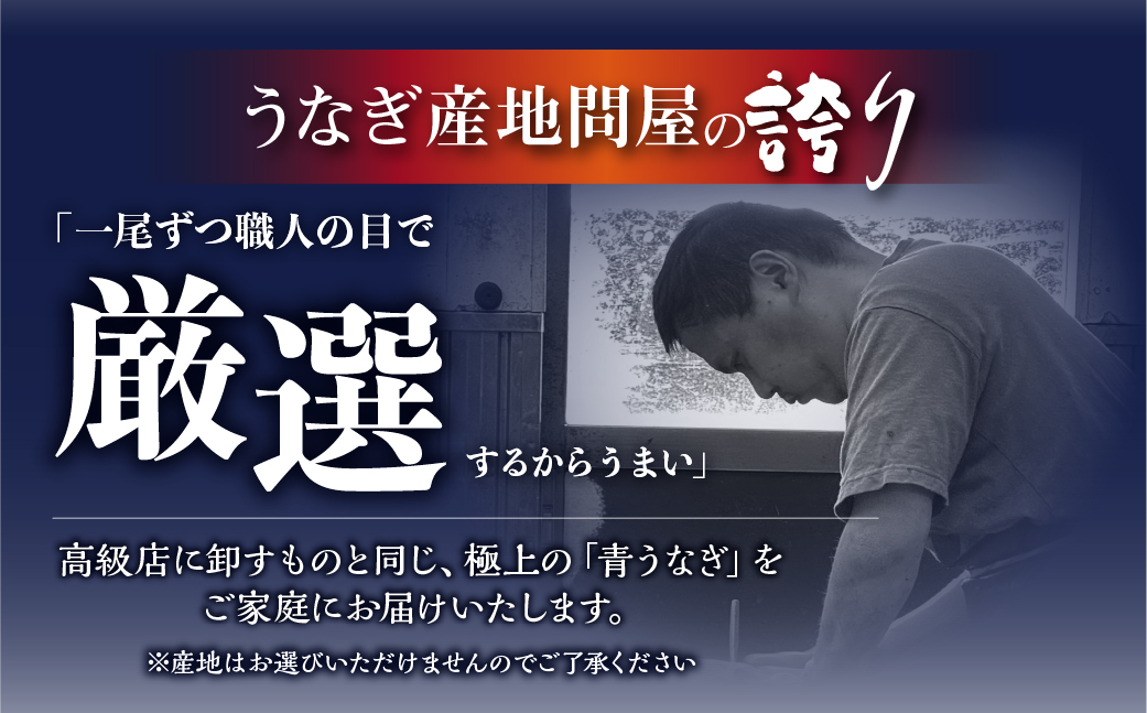 厳選 高級 青うなぎ 蒲焼 2尾 全3回 定期便 合計6尾 ( うなぎ うなぎ定期便 3回 ３ 定期  3ヶ月 3ヵ月 3か月 36000円 )