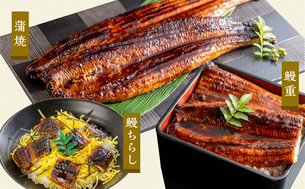 å³éž é«çŽ éããªã è²çŒ 2å°Ÿ å
š6å å®æäŸ¿ åèš12å°Ÿ ( ããªã ããªãå®æäŸ¿ 6å ïŒ å®æ 6ã¶æ 6ãµæ 6ãæ å幎 72000å )