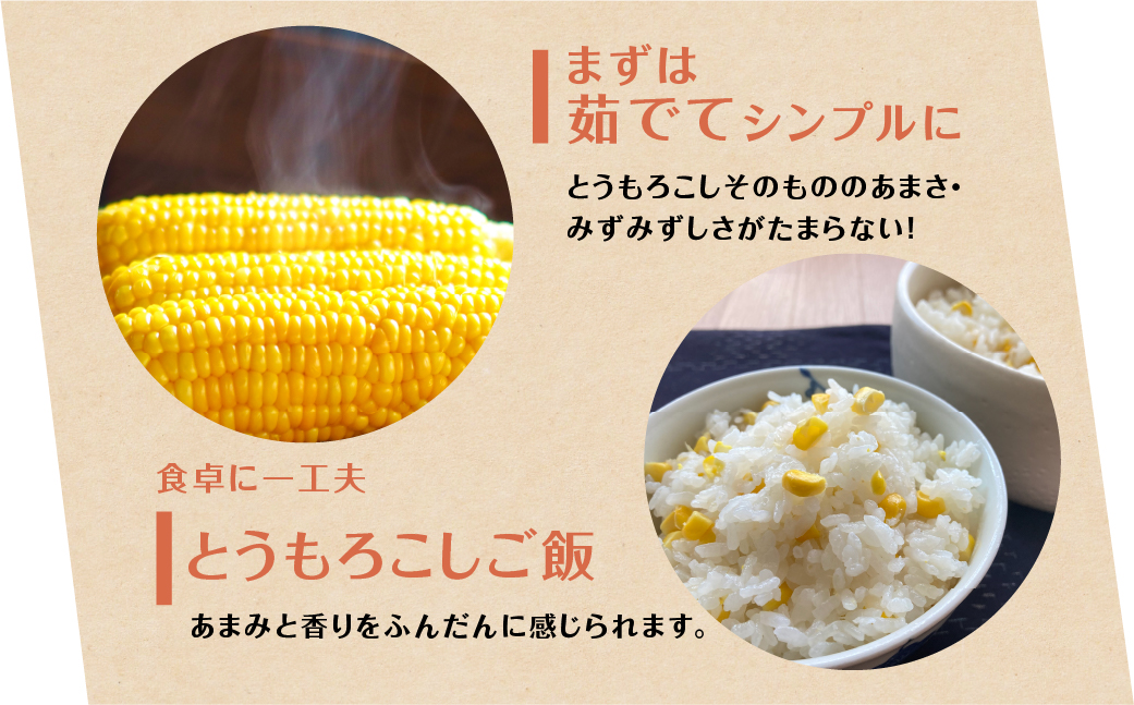 あまっ娘とうもろこし （10本〜12本　4.0kg以上）