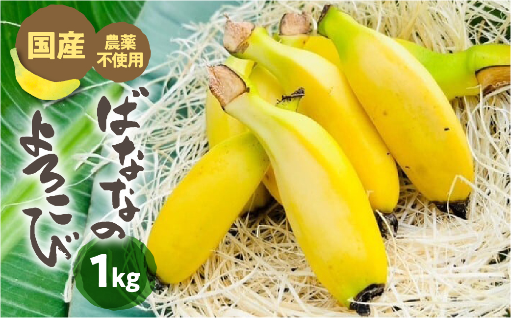 ≪先行予約≫【愛知県・田原産】≪先行予約≫ 愛知県・田原産 ブランドばなな『ばななのよろこび』1kg 