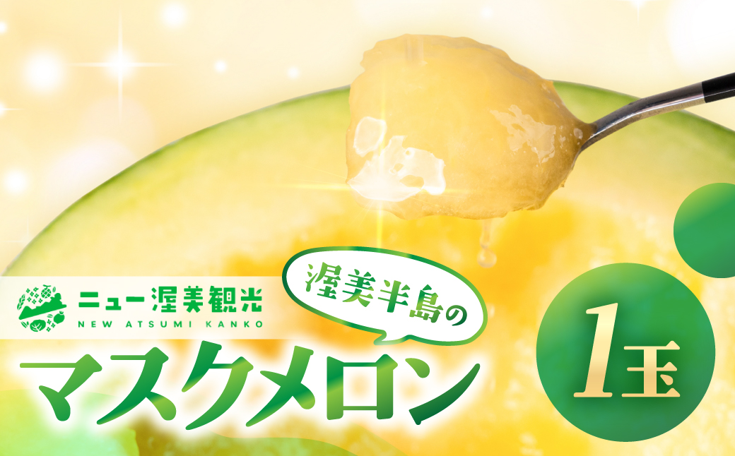 【先行予約】マスクメロン 1玉 メロン めろん マスクメロン フルーツ 果物 愛知県 田原市 渥美半島 お取り寄せ スイーツ ギフト 贈り物 プレゼント 贈答 贈答用 ニュー渥美 観光 1玉 2玉 3玉 訳あり わけあり ワケアリ 訳アリ