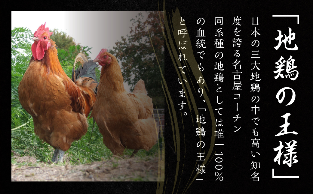【3kg】三和 純鶏 名古屋コーチン もも肉 3kg 地鶏 鶏肉 創業 明治 33年 さんわ 鶏三和 冷蔵 冷蔵配送  とりにく さんわ 鶏 とり肉 もも モモ肉 もも肉 国産 田原市 33000円 肉