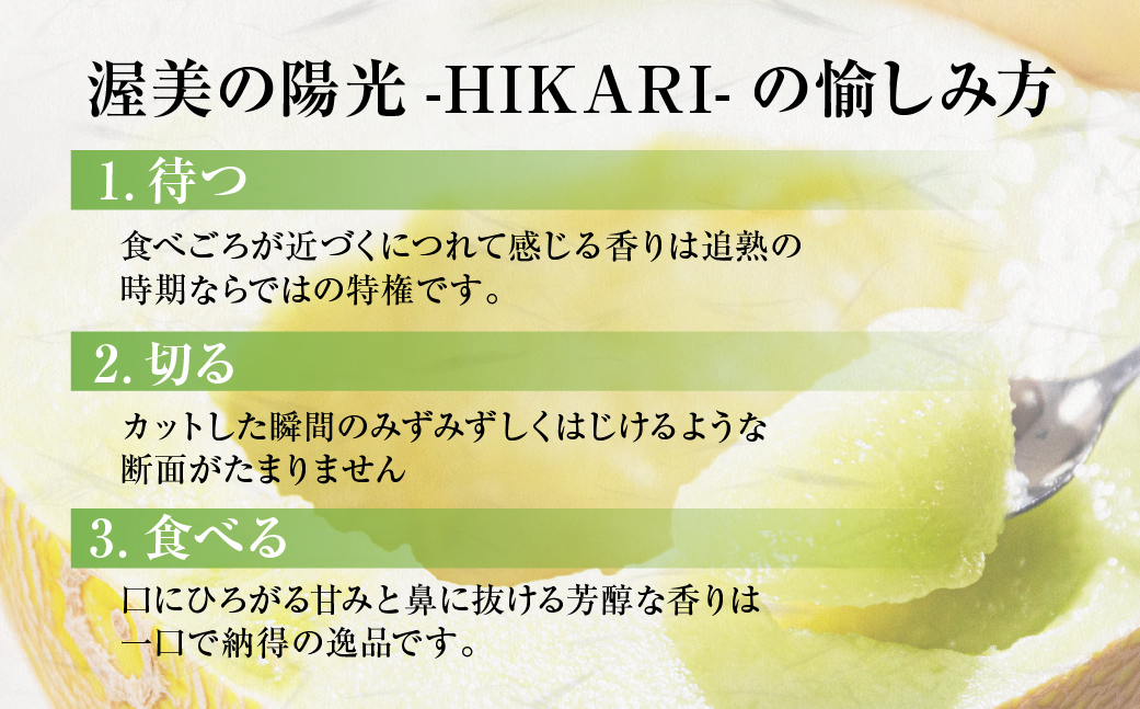 極上メロン 渥美の陽光-HIKARI-　2玉　めろん 果物 フルーツ 産地直送 愛知県 田原市