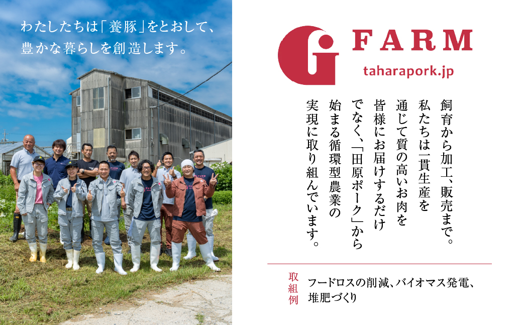 《バラ》国産 豚肉 ブロック 1kg 田原ポーク