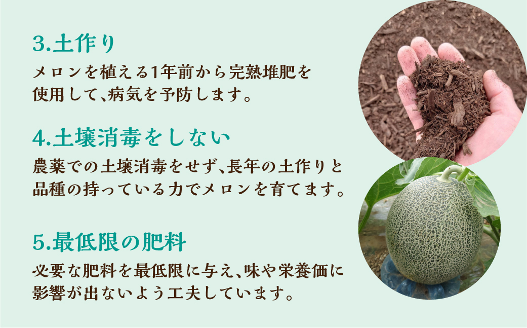 水野農園産タカミレッド　２玉