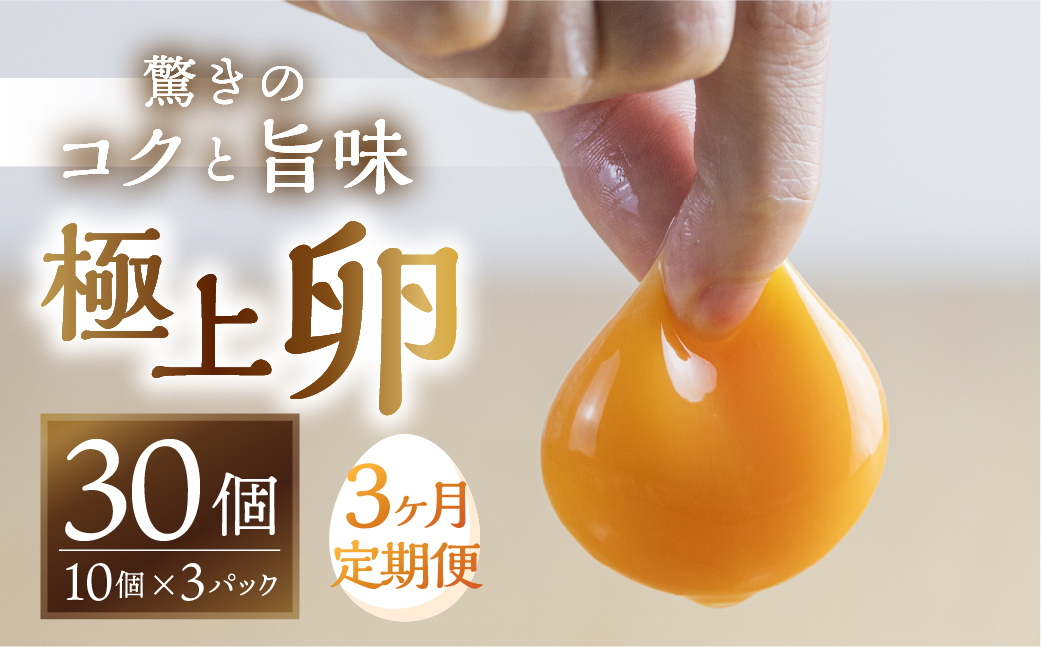 【3回お届け】コク旨 極上卵 30個 割れ保証付き 定期便 （ たまご 卵 毎月 3回 3ヶ月 3ヵ月 3か月 ランキング ）