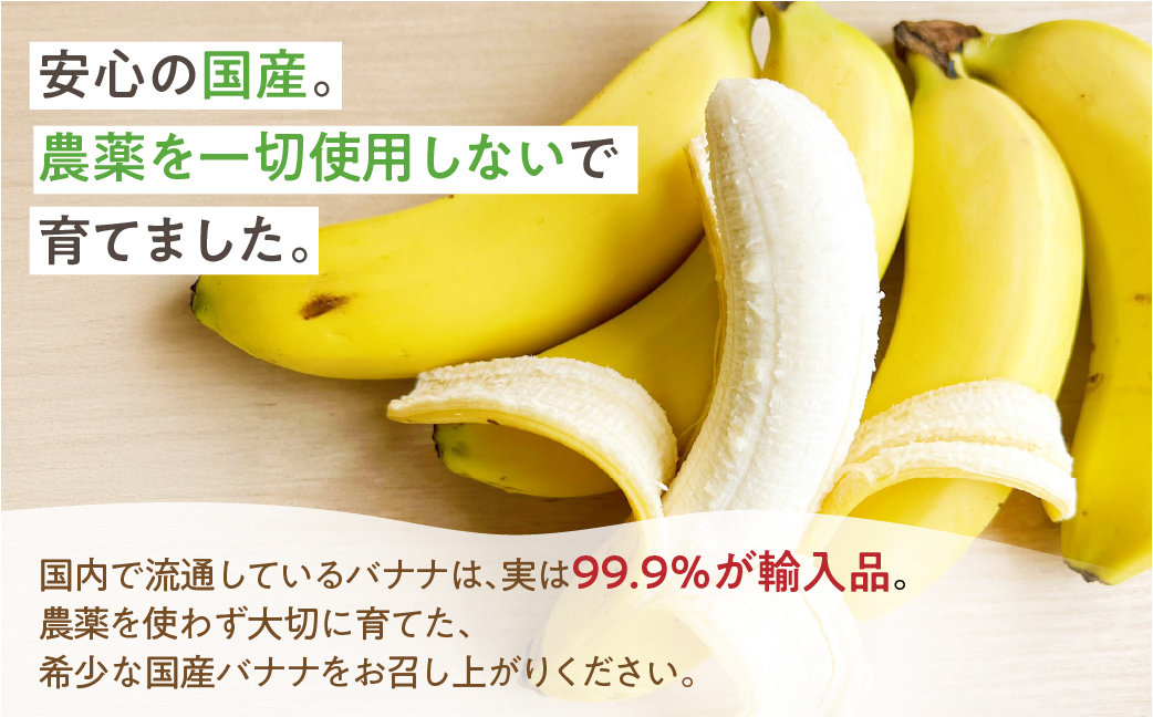 ≪先行予約≫【愛知県・田原産】≪先行予約≫ 愛知県・田原産 ブランドばなな『ばななのよろこび』1kg 