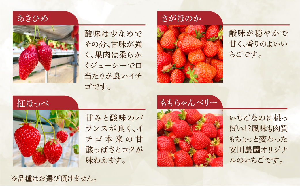 å
è¡äºçŽ èã®è±ãã¡ã 1ããã¯(6ã8ç²å
¥)ã»å€§ç²2ç