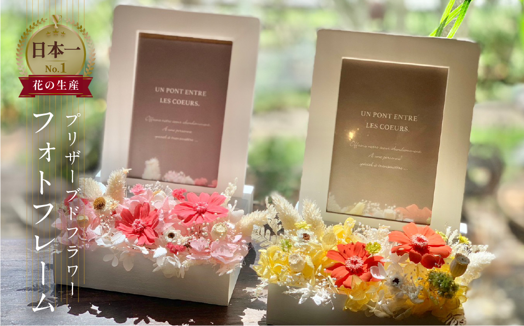 プリザーブドフラワー フォトフレーム 花 選べる2タイプ（ ピンク系 ／ イエロー系） 写真立て フレーム フォト ギフト プレゼント 飾り 愛知県 田原市 渥美半島 19000円