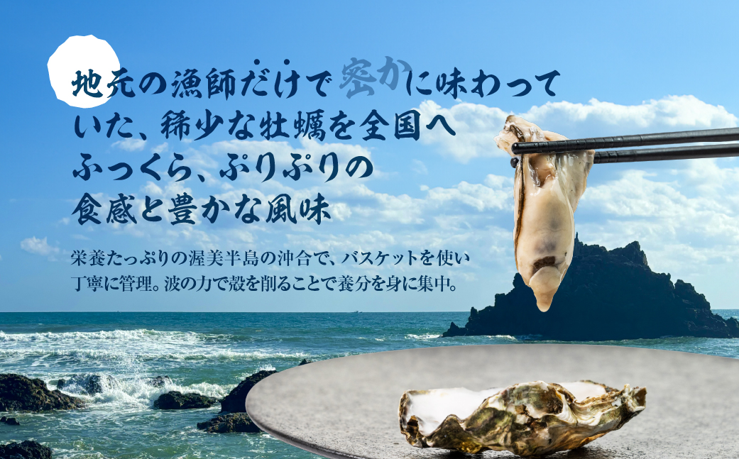 【先行予約】殻付き 生牡蠣 5kg 加熱用 軍手・牡蠣ナイフ付 牡蠣 カキ かき 生 殻付牡蠣 フライ 鍋 バーベキュー BBQ 海鮮 魚介 魚貝 貝 魚介類 新鮮 渥美半島 田原市 愛知県 国産 海産物 オイスター 海の ミルク 軍手 牡蠣 ナイフ 付 冬 〜 春