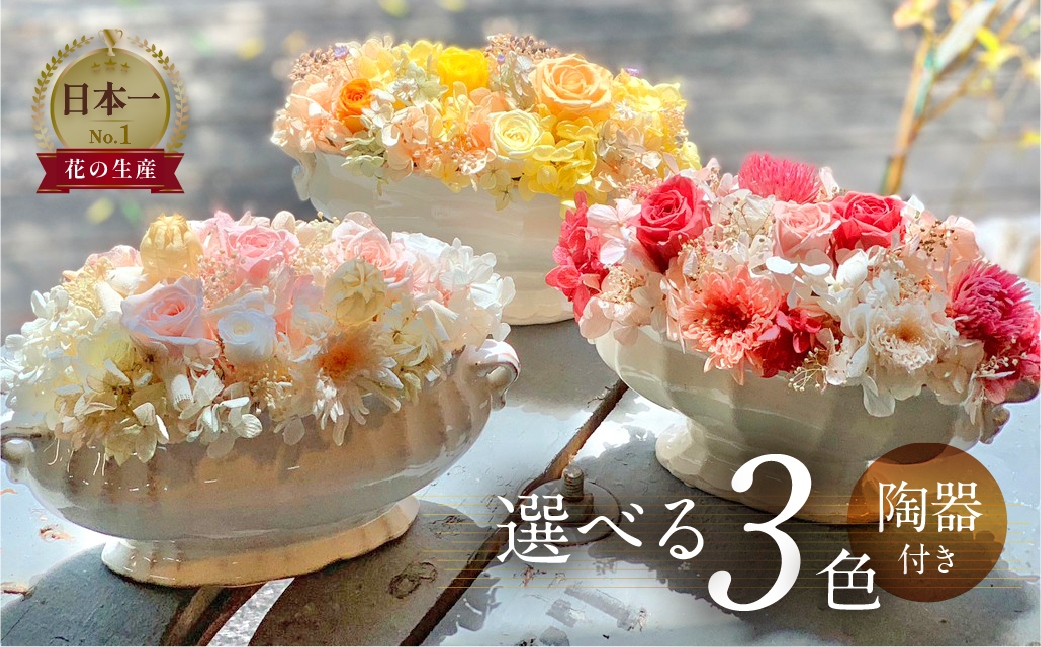 プリザーブドフラワー 花 陶器付き 選べる3色 ギフト プレゼント 飾り 愛知県 田原市 渥美半島 26000円