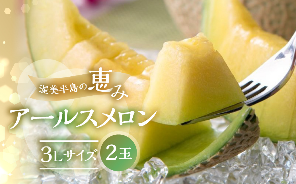 メロン 3L × 2玉  日研農園 ／ メロン めろん 先行予約 フルーツ 果物 アールスメロン 青肉メロン 旬 夏 厳選 高級 人気 デザート  メロン ゼリー 贈答用 贈答品 贈答 メロン パン 産直 産地直送 ギフト プレゼント 贈り物 愛知県 特産品 産地直送 田原市 渥美半島 12000円 7月 8月 9月 2玉 先行予約