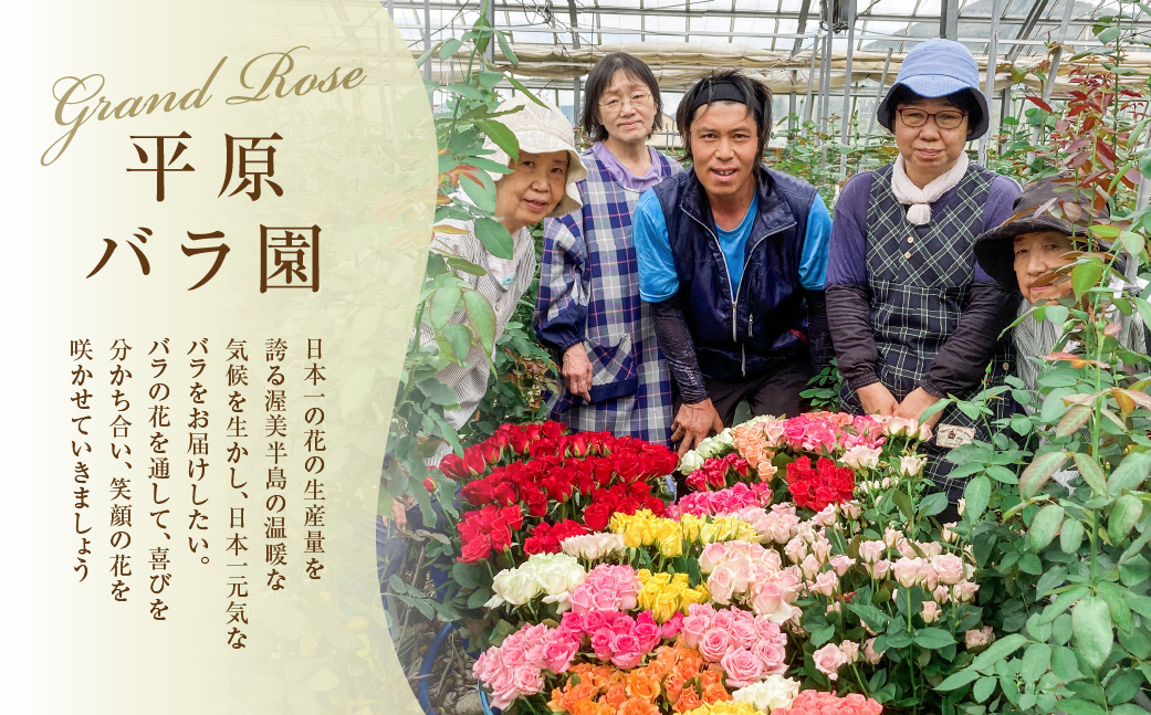 【定期便】9回お届け バラ 花束 50本 チャーミングローズ 花 ( 訳あり 規格外 ご自宅用 ) 薔薇 生花 愛知県 田原市