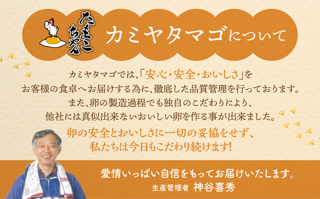 【感動の卵体験】 コク旨 極上卵 30個 割れ保証付き こだわり たまご 卵
