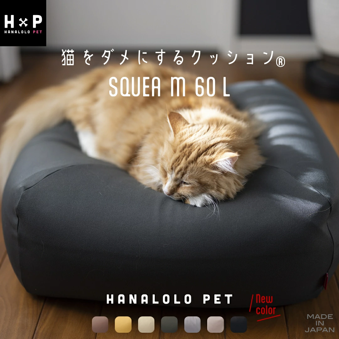 【ブラック】猫をダメにするクッション Mサイズ スクエアペットクッション ハナロロ