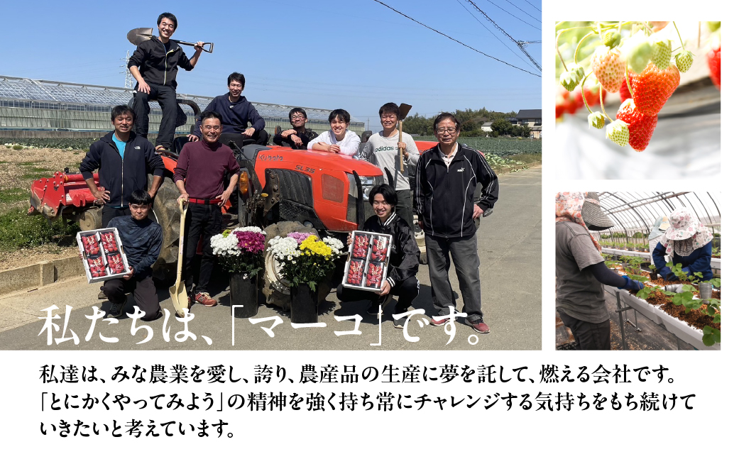 ≪先行予約≫【愛知県・田原産】≪先行予約≫ 愛知県・田原産 ブランドばなな『ばななのよろこび』1kg 