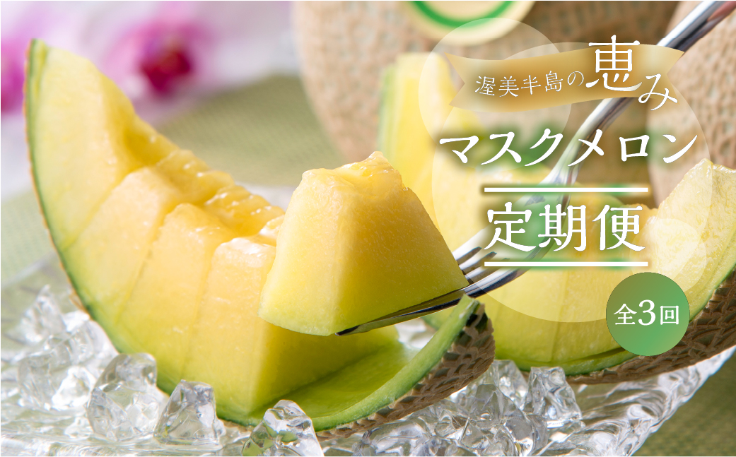 【定期便】先行予約 マスクメロン 3回お届け  伊良湖産 2玉 3Lサイズ　7月スタート  日研農園