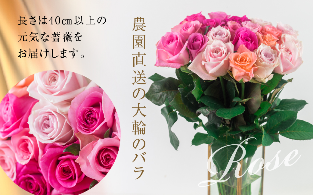 バラ 花束 大輪 ピンク 30本 (40cm) ピンクミックス ブーケ 薔薇 ローズ  生花 観賞用 プレゼント 花 ギフト 誕生日 植物 フラワー 土壌栽培 産地直送 田原市 人気 切り花 切花 18000円