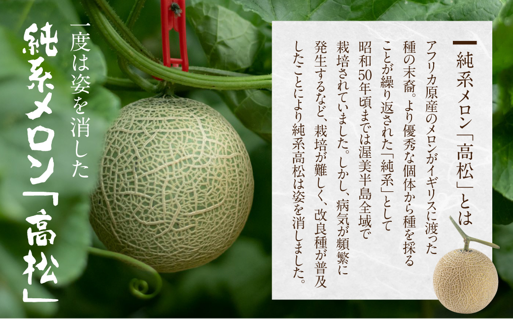 å
è¡äºçŽ æž¥çŸåå³¶ç³äºèŸ²åã»çŽç³»å€ç°ã¡ãã³2ç ã2026幎7æçºéã çŽç³» 箱詰ã ã¡ãã³ ãã«ãŒã æç© ãåãå¯ã 枥çŸåå³¶ ç£å°çŽé å¹» åžå°å ç°ååž éæç¡æ 20,000å