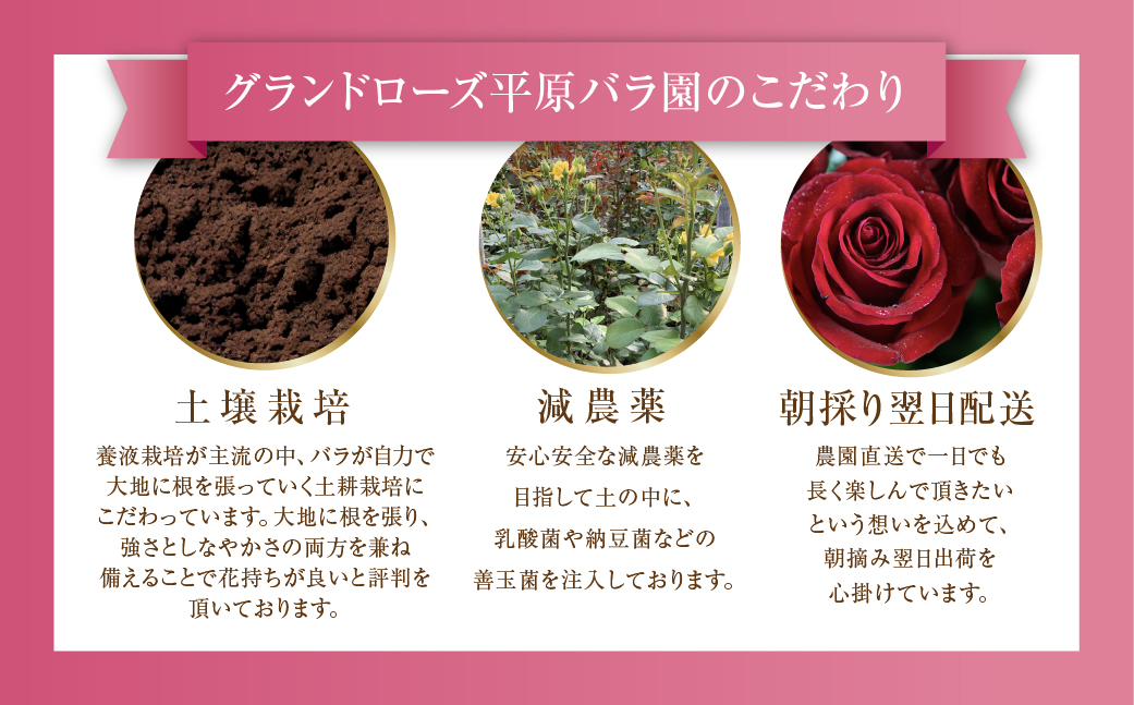 バラ 花束 大輪 赤 30本 (40cm) ブーケ 薔薇 ローズ  生花 観賞用 プレゼント 花 ギフト 誕生日 植物 フラワー 土壌栽培 産地直送 田原市 人気 切り花 切花 18000円