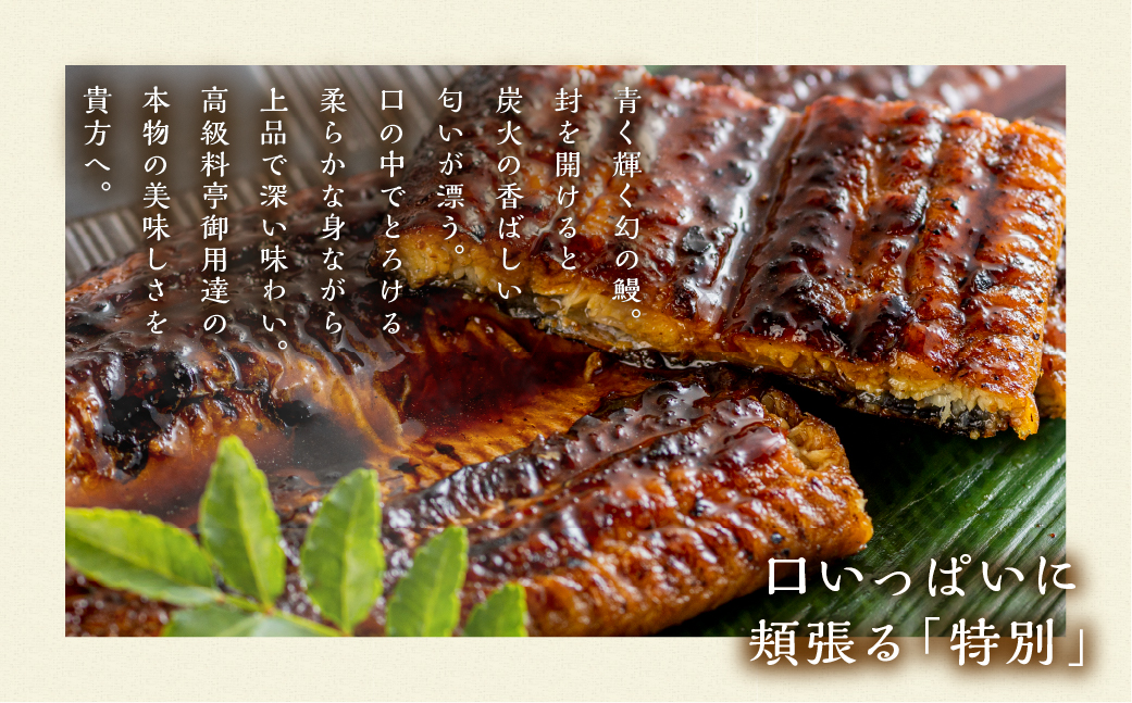 厳選 高級 青うなぎ 蒲焼 2尾 全3回 定期便 合計6尾 ( うなぎ うなぎ定期便 3回 ３ 定期  3ヶ月 3ヵ月 3か月 36000円 )