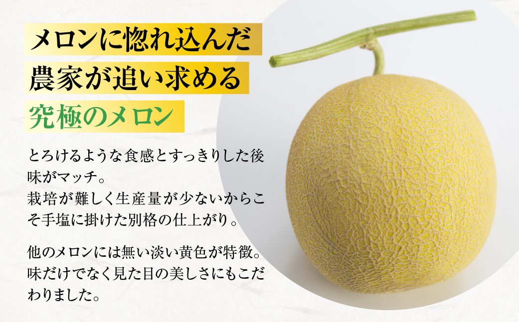 極上メロン 渥美の陽光-HIKARI-　2玉　めろん 果物 フルーツ 産地直送 愛知県 田原市