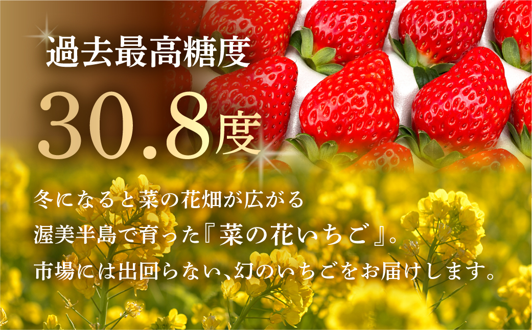 å
è¡äºçŽ èã®è±ãã¡ã 1ããã¯(6ã8ç²å
¥)ã»å€§ç²2ç