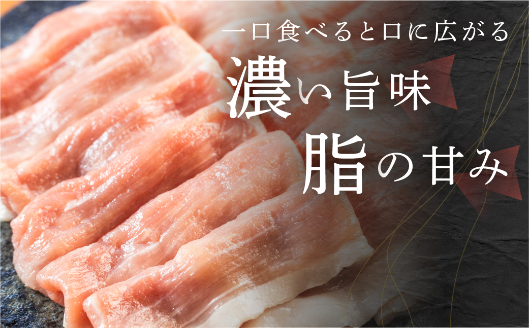 險ウ縺ゅj 蝗ス逕」 雎夊i 鬟溘∋豈斐∋ 繧ケ繝ゥ繧、繧ケ 蛻繧願誠縺ィ縺 2kg 雎壼ー城俣 縺励c縺カ縺励c縺カ 繝ュ繝シ繧ケ 縺吶″繧縺 繝舌Λ 蜀キ蜃 逑懃函雎 蟆丞縺 邁。譏灘桁陬 險ウ縺ゅj 縺カ縺 繧ケ繝ゥ繧、繧ケ 阮蛻繧 雎壹@繧縺カ 雍医j迚ゥ 繧ョ繝輔ヨ 縺雁叙繧雁ッ縺 縺雁叙繧雁ッ縺帙げ繝ォ繝。 鬟溷刀 騾∵侭辟。譁 逕」蝨ー逶エ騾 蜀キ蜃 逑懃函 17000蜀