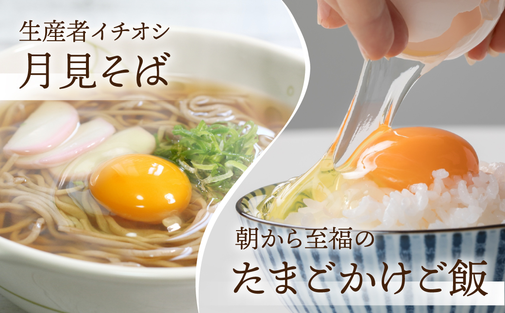【3回お届け定期便】コク旨 極上卵 60 個 割れ保証付き 定期便 （ たまご 卵 毎月 3回 3ヶ月 3ヵ月 3か月 ランキング ）