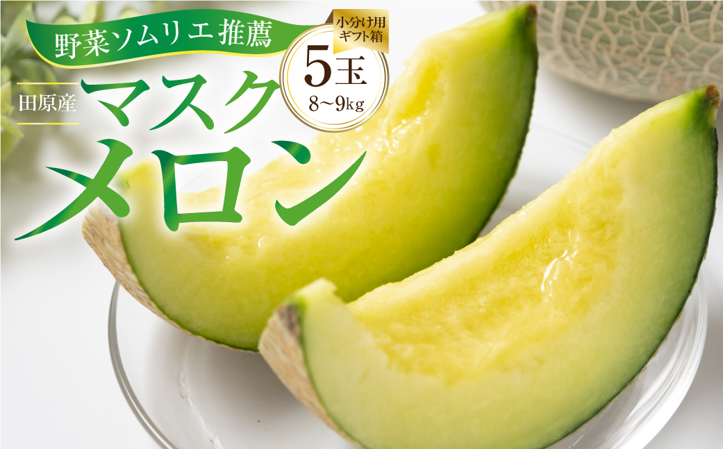 先行予約 数量限定 野菜ソムリエ推薦渥美半島伊良湖潮風育ち厳選マスクメロン5玉(8〜9キロ)小分け用ギフト箱1箱付き  田原市 伊良湖産 ギフト プレゼント お取り寄せ 渥美半島 農家直送 送料無料 28000円