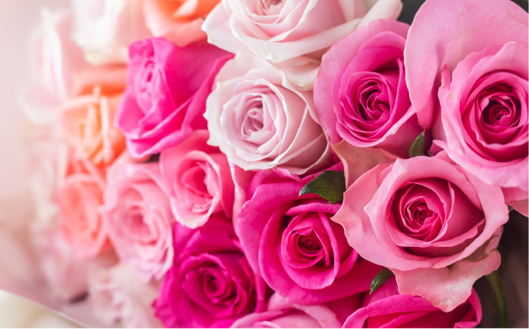 バラ 花束 大輪 ピンク 30本 (40cm) ピンクミックス ブーケ 薔薇 ローズ  生花 観賞用 プレゼント 花 ギフト 誕生日 植物 フラワー 土壌栽培 産地直送 田原市 人気 切り花 切花 18000円