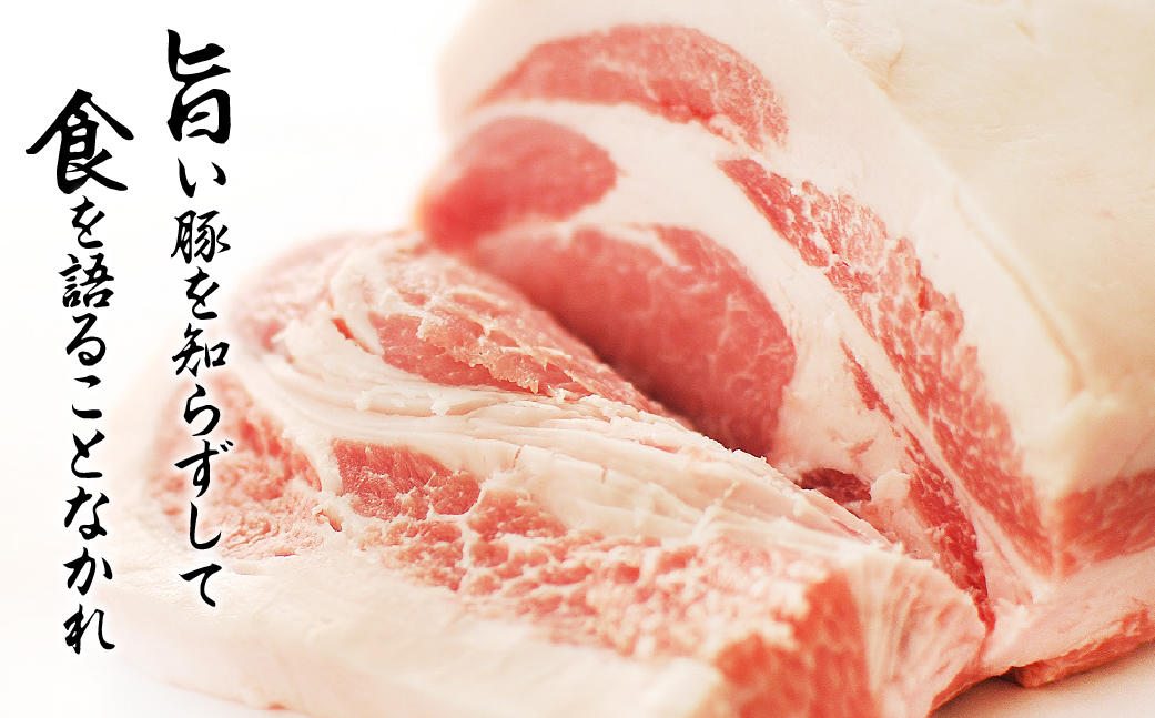 《バラ》国産 豚肉 ブロック 1kg 田原ポーク