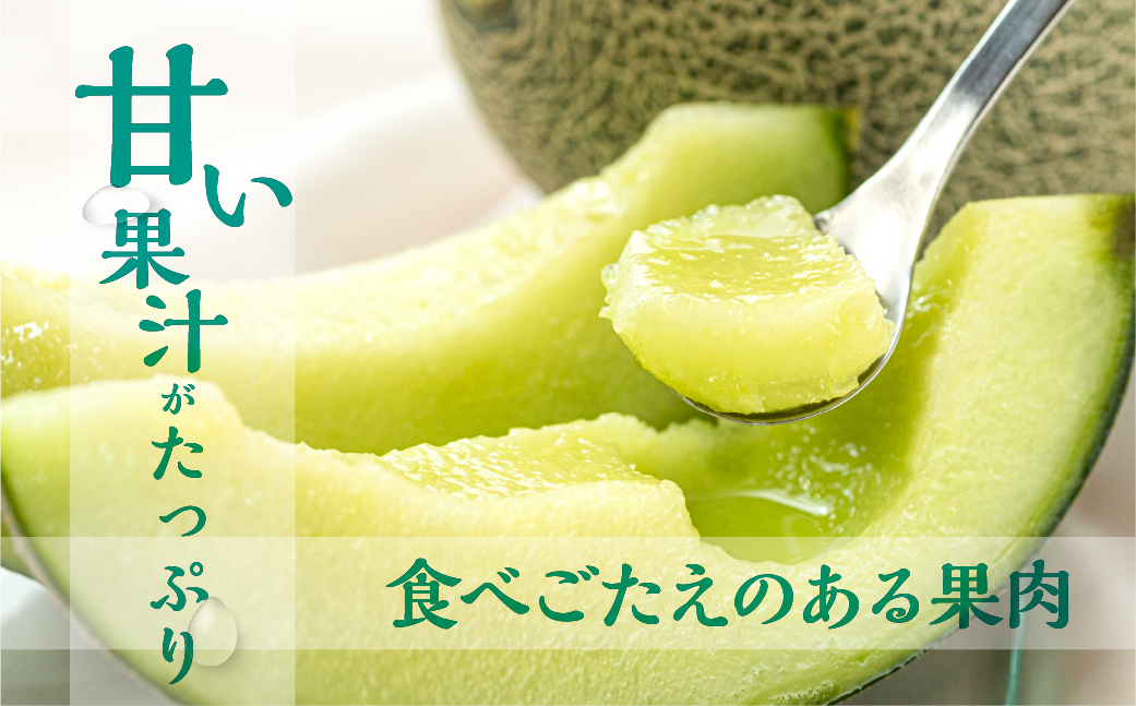 水野農園産タカミメロン　２玉