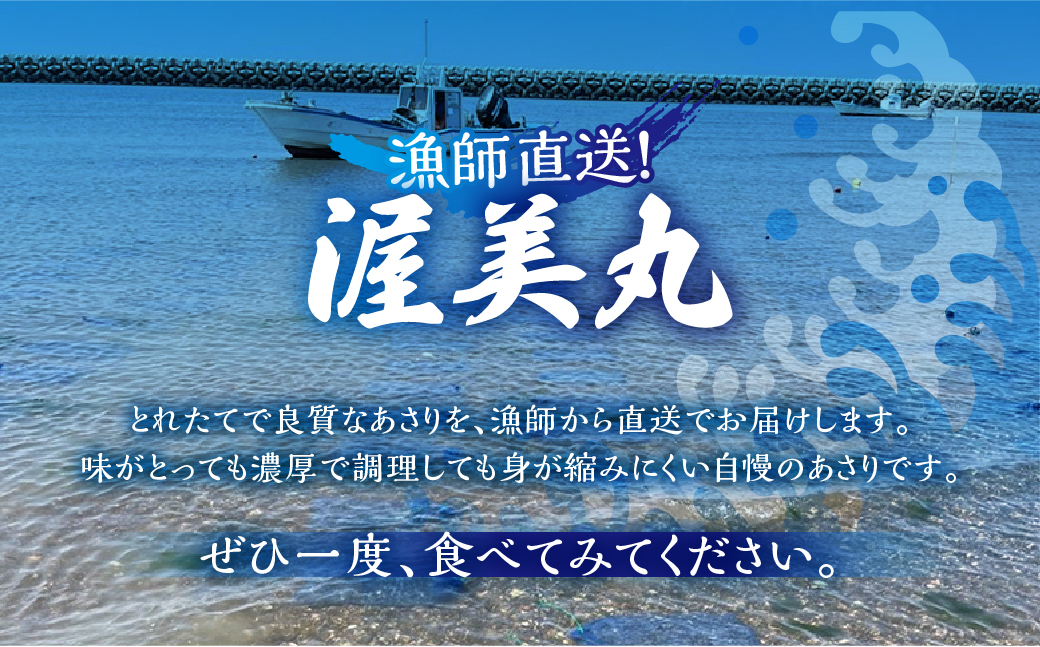 【先行予約】殻付き 生牡蠣 3kg 加熱用 軍手・牡蠣ナイフ付 牡蠣 カキ かき 生 殻付牡蠣 フライ 鍋 バーベキュー BBQ 海鮮 魚介 魚貝 貝 魚介類 新鮮 渥美半島 田原市 愛知県 国産 海産物 オイスター 海の ミルク 軍手 牡蠣 ナイフ 付 冬 〜 春