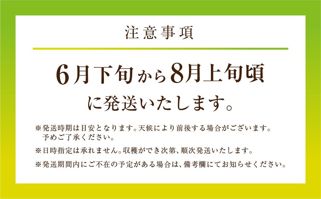 先行予約 数量限定 野菜ソムリエ推薦渥美半島伊良湖潮風育ちマスクメロン3玉(4〜5キロ)カラーギフト箱入り　 田原市 伊良湖産 ギフト プレゼント お取り寄せ 渥美半島 農家直送 送料無料 17000円