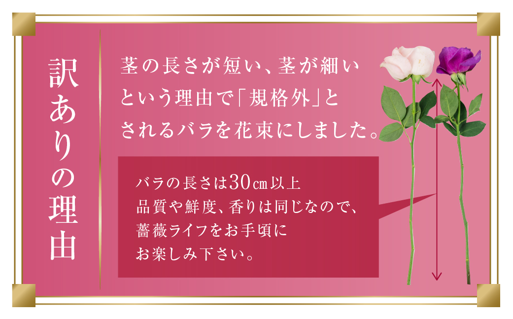 【定期便】6回お届け バラ 花束 50本 チャーミングローズ 花 ( 訳あり 規格外 ご自宅用 ) 薔薇 生花 愛知県 田原市