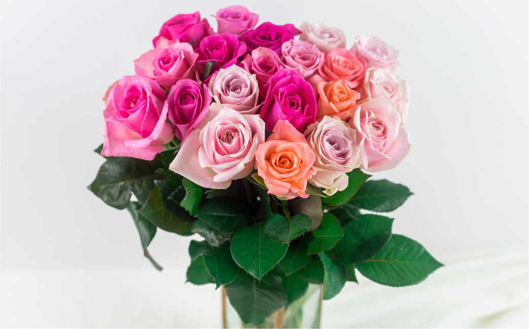 ãã© è±æ 倧茪 ãã³ã¯ 50æ¬ (40cm) ãã³ã¯ããã¯ã¹ ããŒã± èè ããŒãº çè± èŠ³è³çš ãã¬ãŒã³ã è± ã®ãã èªçæ¥ æ€ç© ãã©ã¯ãŒ å壿 œå¹ ç£å°çŽé ç°ååž äººæ° åãè± åè± 28000å