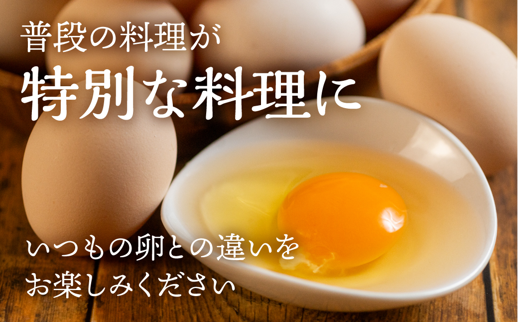 ã6åãå±ãå®æäŸ¿ãã³ã¯æš 極äžåµ 60 å å²ãä¿èšŒä»ã å®æäŸ¿ ïŒ ããŸã åµ æ¯æ 6å 6ãµæ 6ã¶æ 6ãæ å幎 ã©ã³ãã³ã° ïŒ