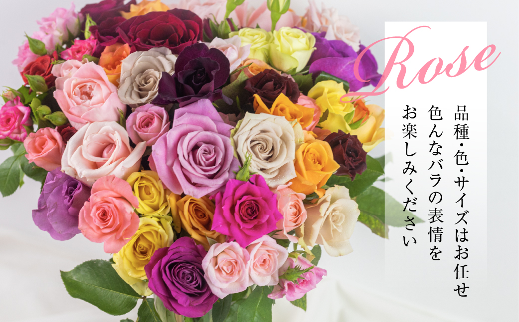 【定期便】6回お届け バラ 花束 50本 チャーミングローズ 花 ( 訳あり 規格外 ご自宅用 ) 薔薇 生花 愛知県 田原市
