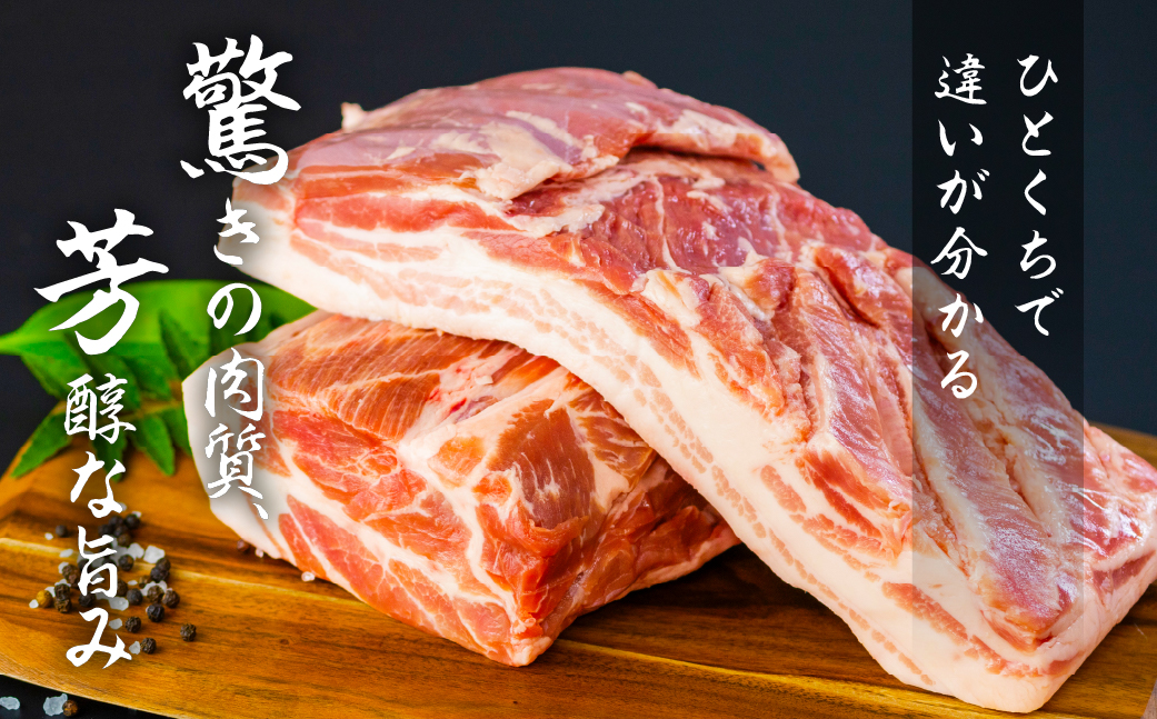《バラ》国産 豚肉 ブロック 1kg 田原ポーク