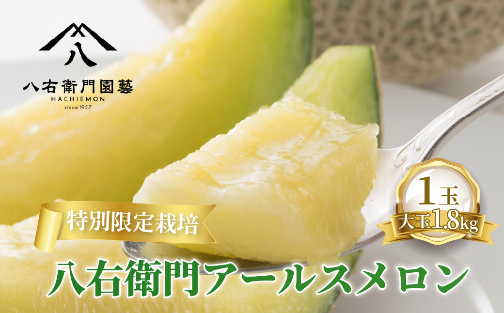 特別限定栽培 八右衛門アールスメロン 大玉1.8kg 1玉 （マスクメロン） 先行予約 メロン めろん 箱詰め フルーツ 果物 愛知県 田原市 6月 7月